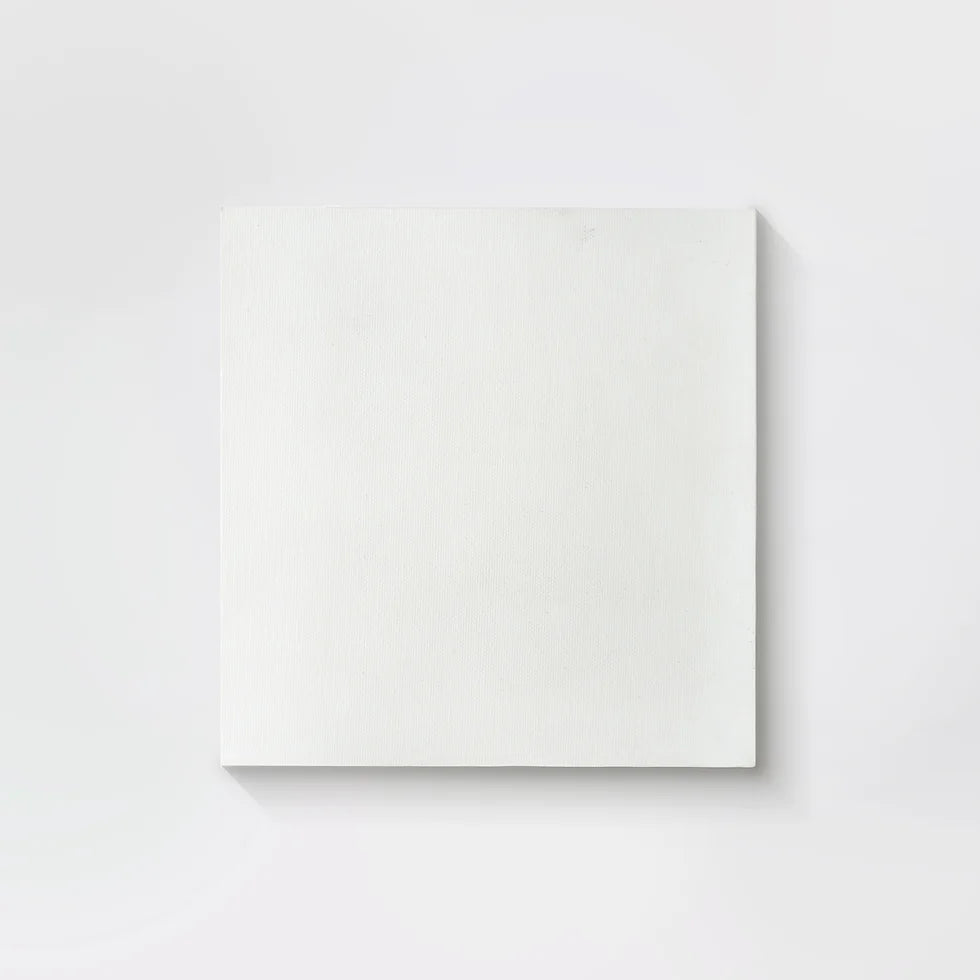 Panza Pictura (pe Sasiu)