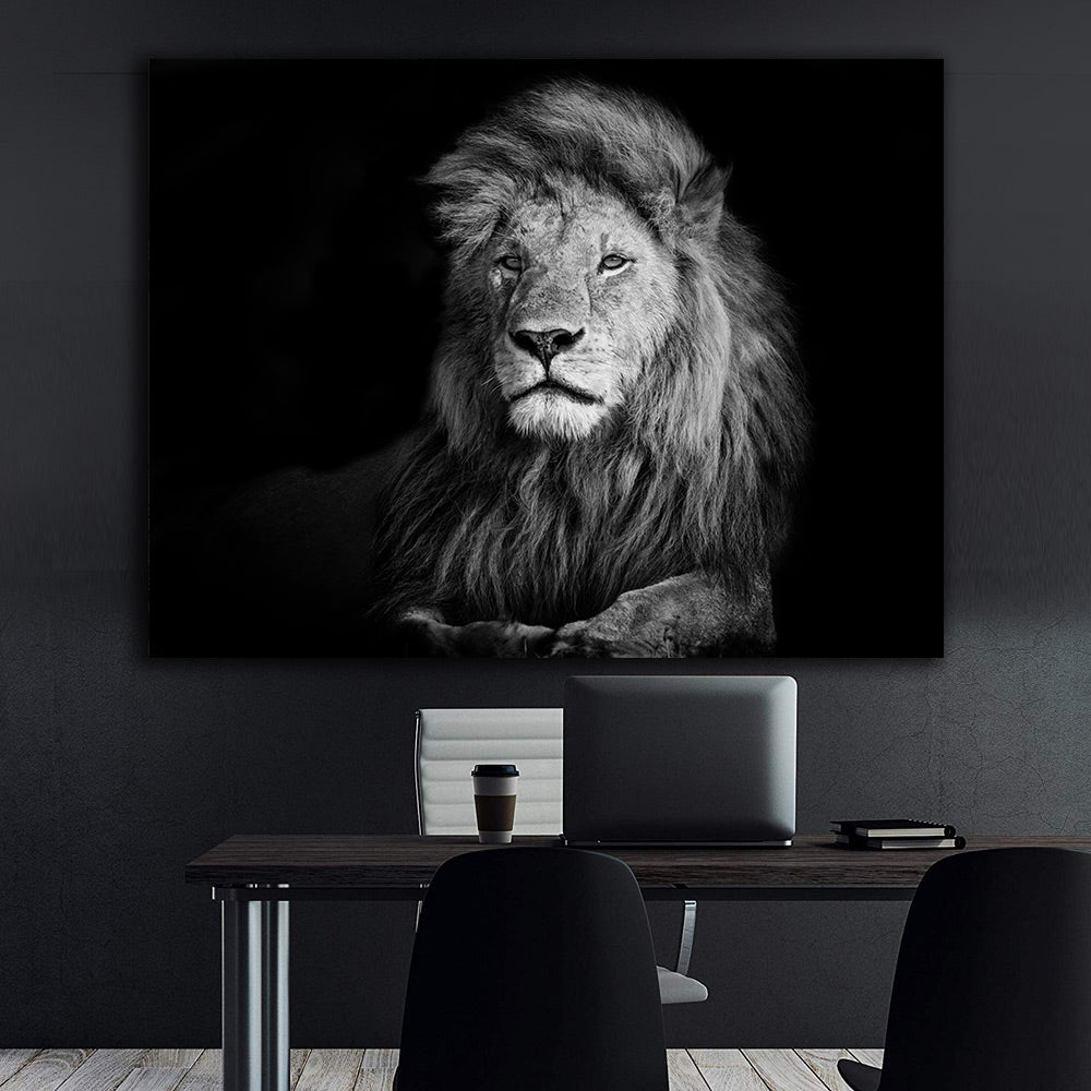 Tablou Canvas - Leu Alb Negru
