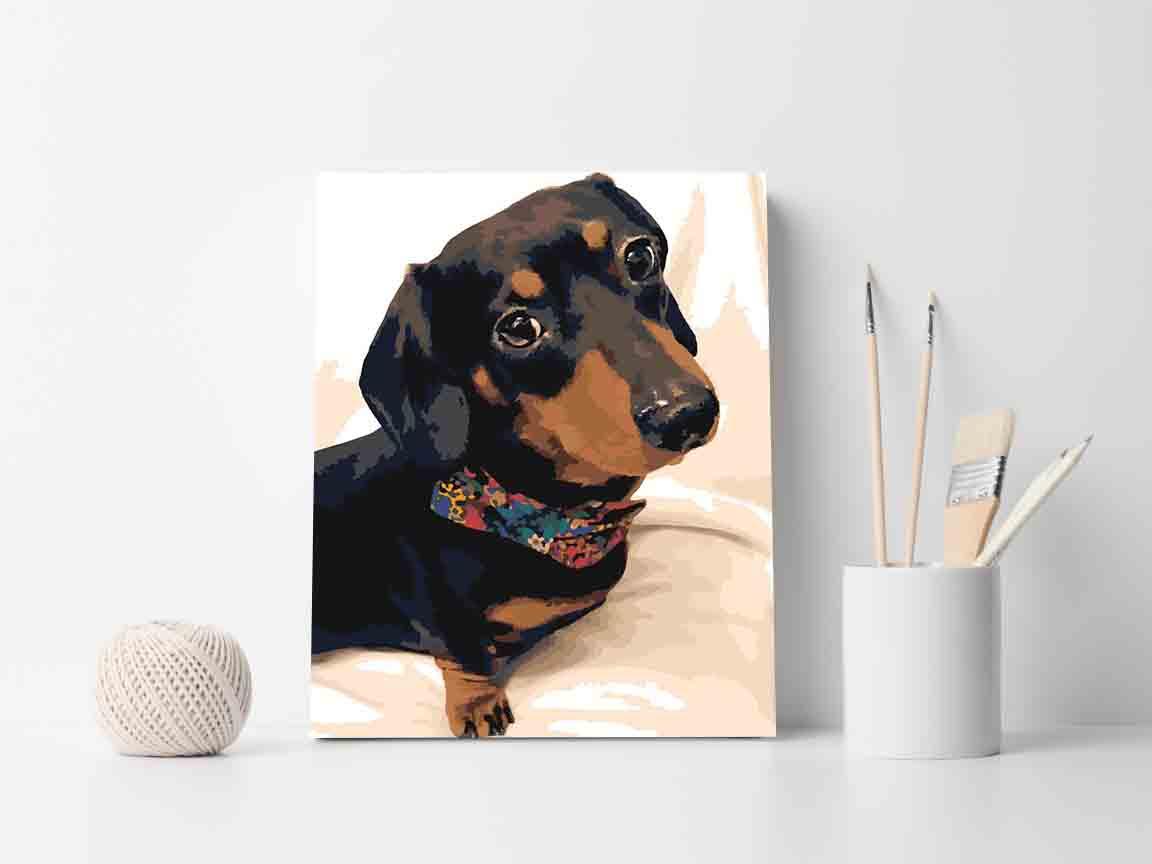 a1e9954481b4d5be1bc42a8a2e95e63a