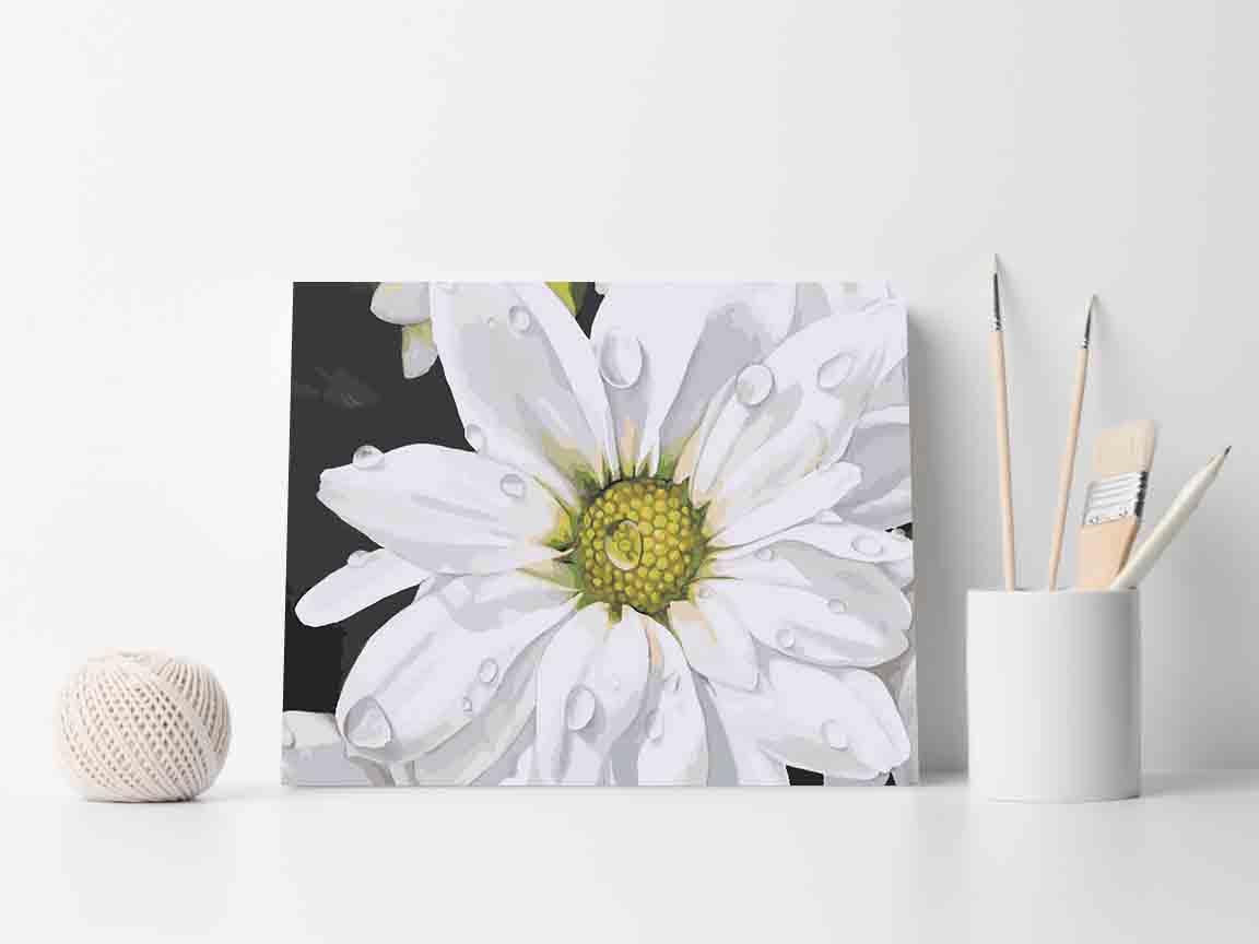 61df9ce278d1cbb3fe5adcf826c2c6c9