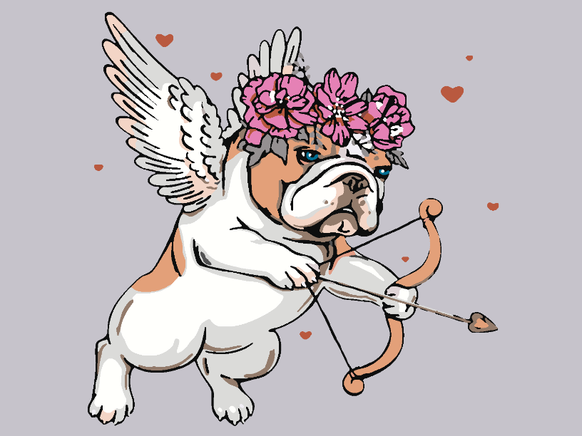 Pictura pe numere - Câinișorul Cupidon 4128