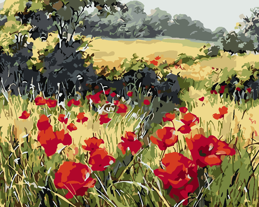 Peinture par numéros - Champ de coquelicots 4203