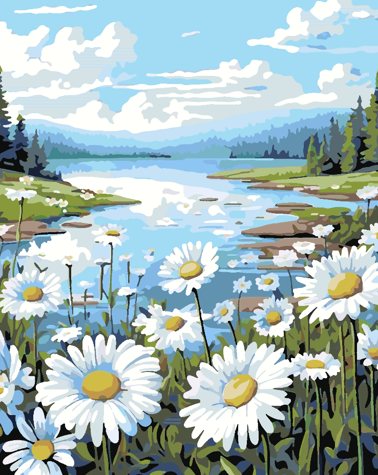 Peinture par numéros - Champ de fleurs 4326