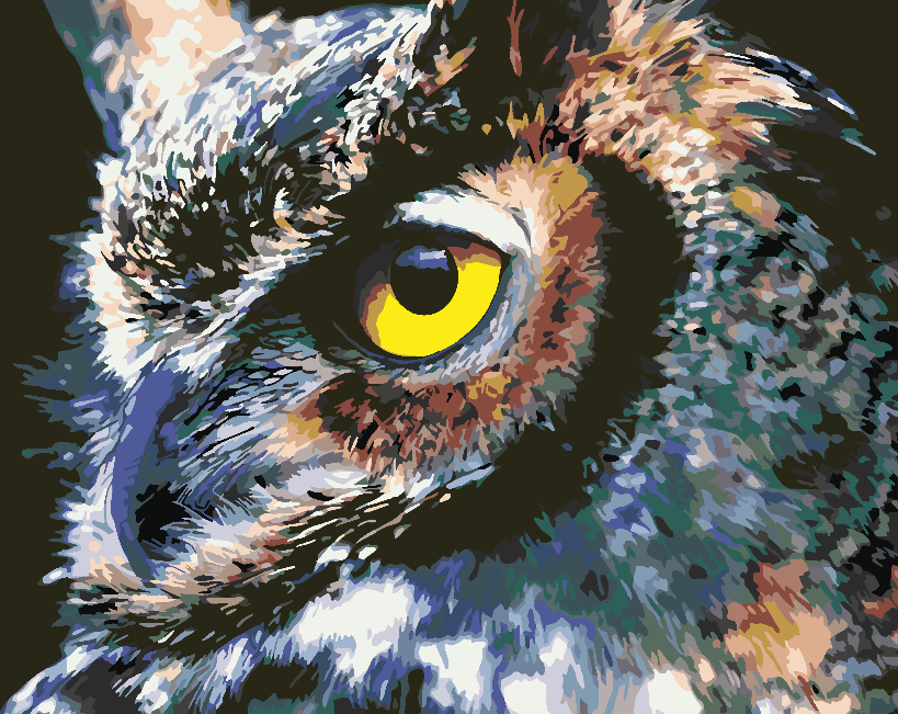 Pictura pe numere - Bufniță Frumoasă 4416