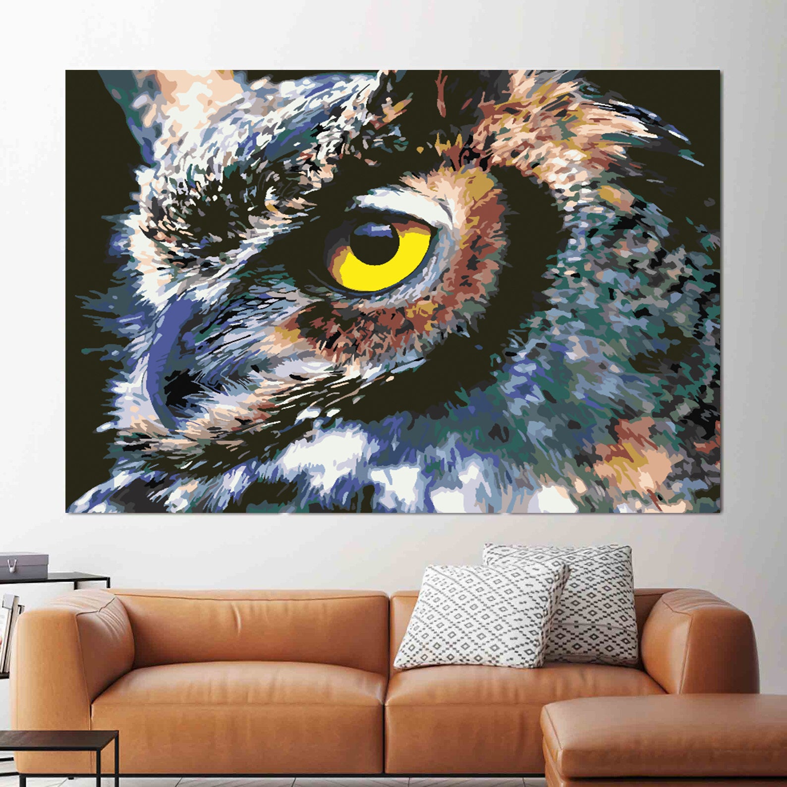 Pictura pe numere - Bufniță Frumoasă 4416