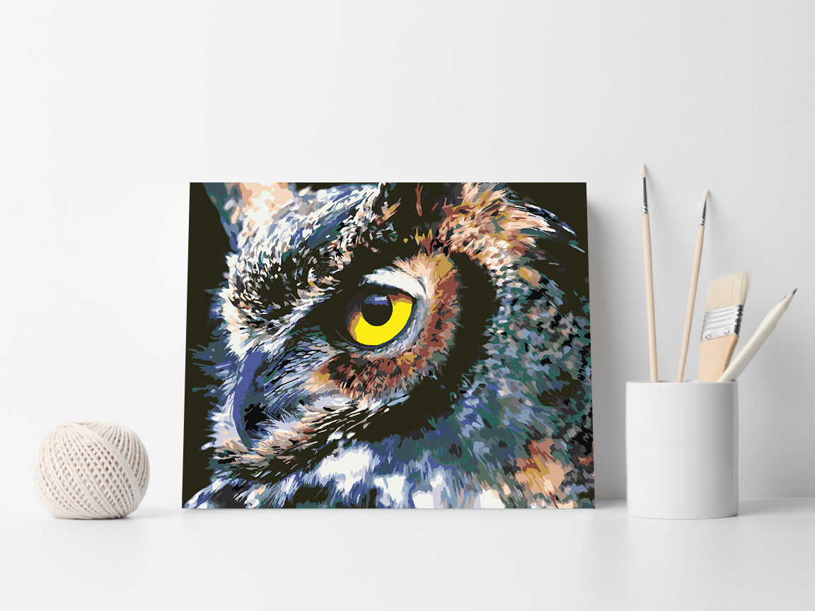 Pictura pe numere - Bufniță Frumoasă 4416