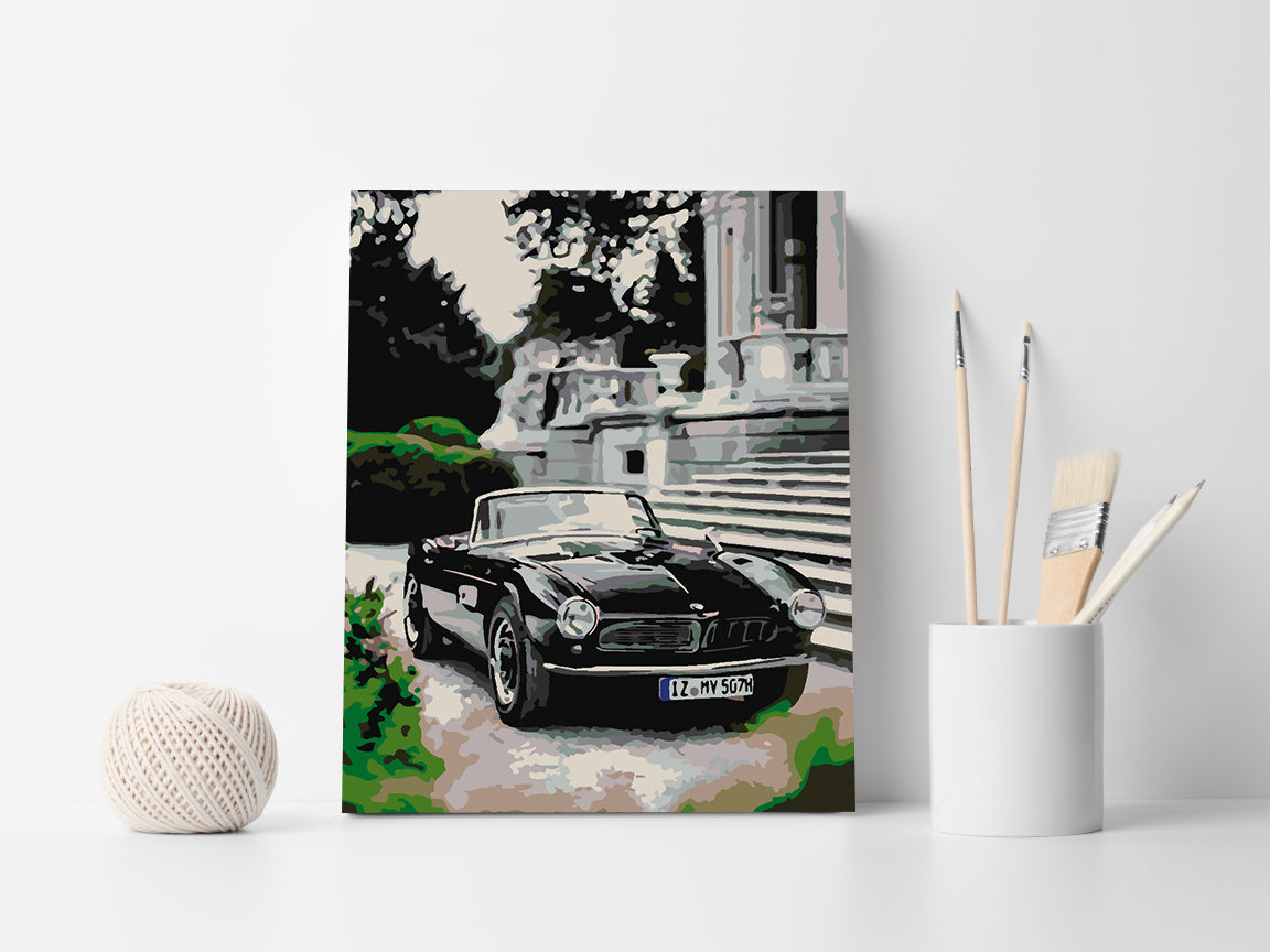 Pictura pe numere - BMW 507 1957 4422