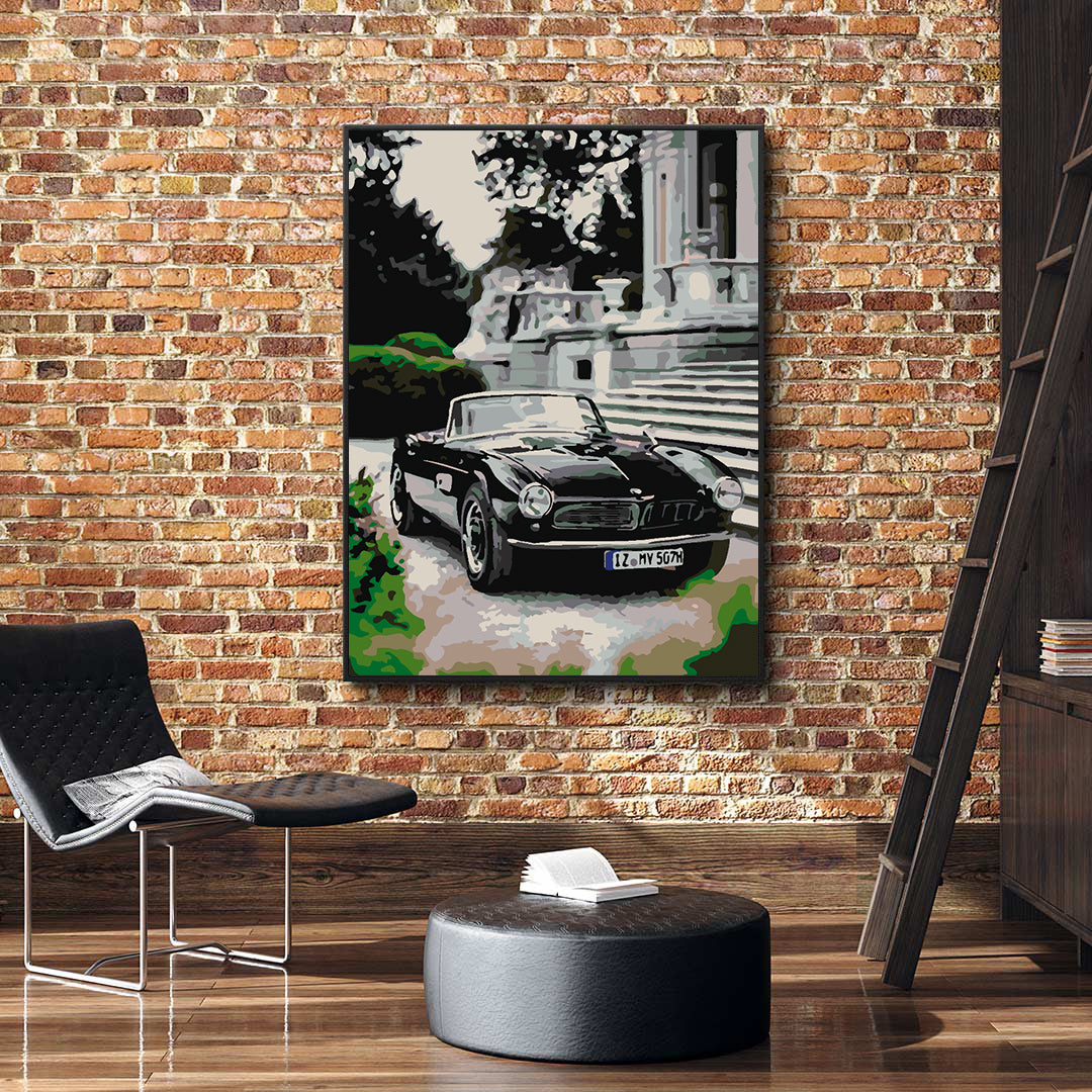 Pictura pe numere - BMW 507 1957 4422