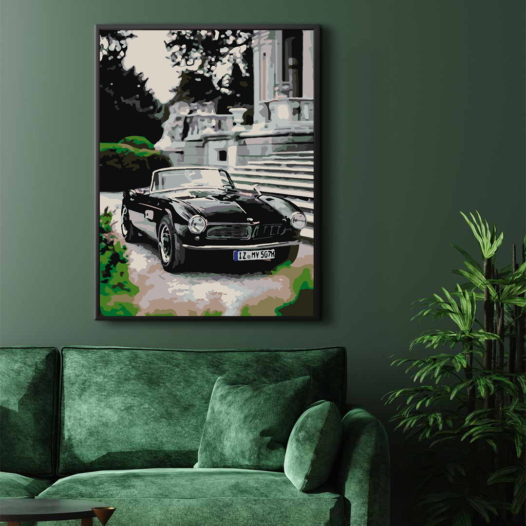 Pictura pe numere - BMW 507 1957 4422