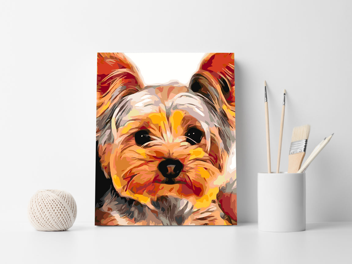 Pictura pe numere - York Terrier 4428