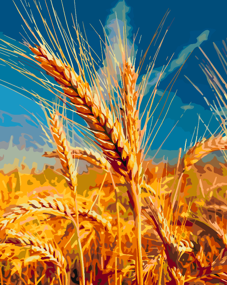 Peinture par numéros - Wheat Land 4448
