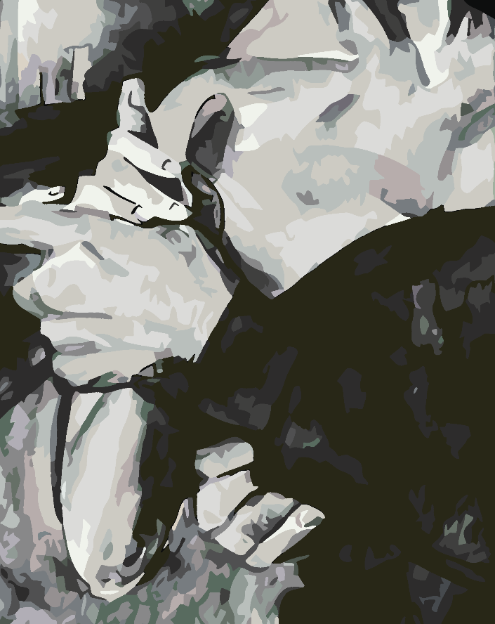 Pictura pe numere - Dragoste Alb Negru 4632