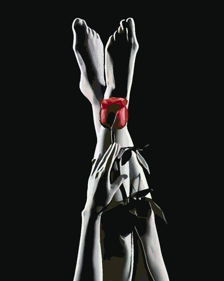 Peinture par numéros - Femme érotique 4678