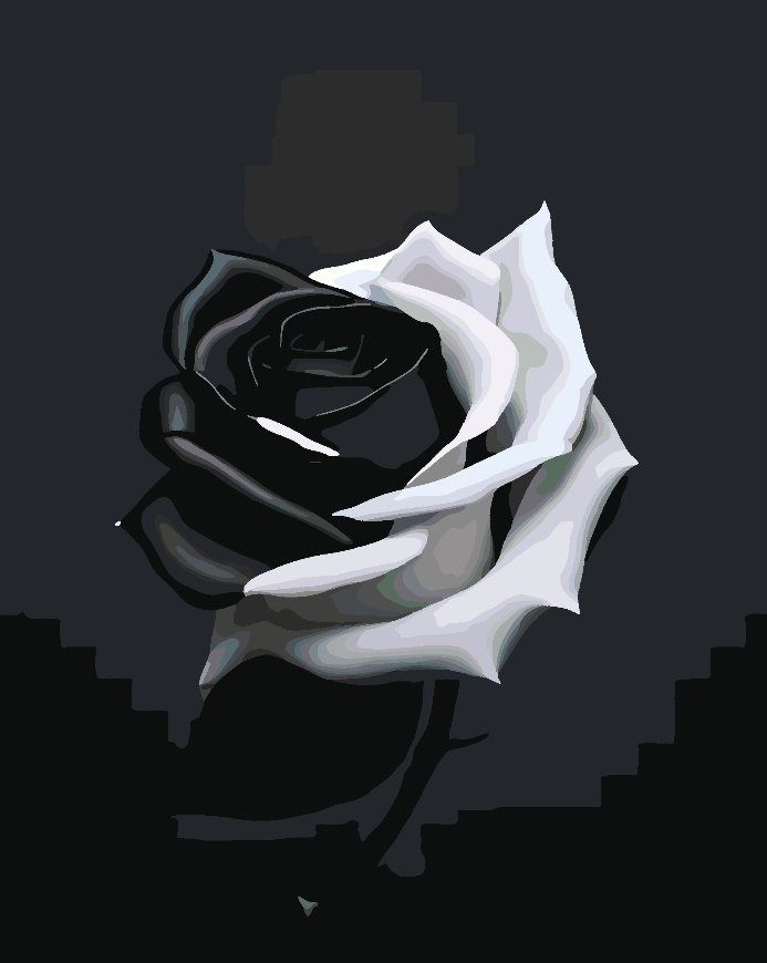 Peinture par numéros - Rose Ab Black 4696