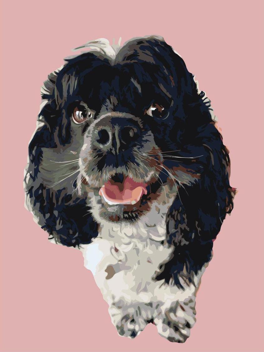 110c340107a79590fd88c4f0cae65e8f