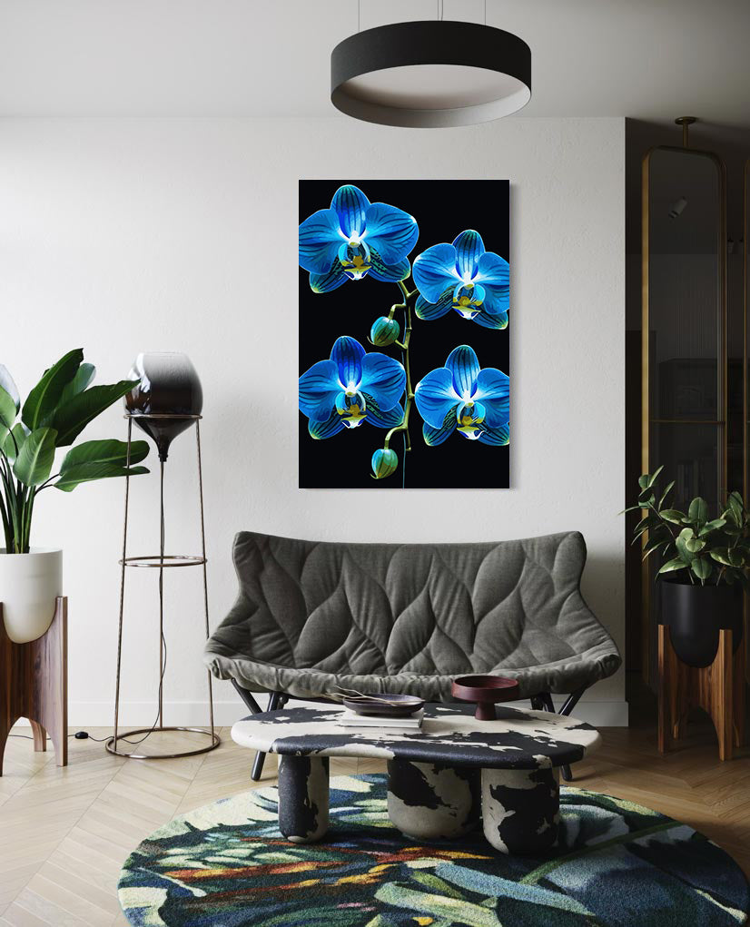 Pictura pe Numere – Enigma in azur 6725