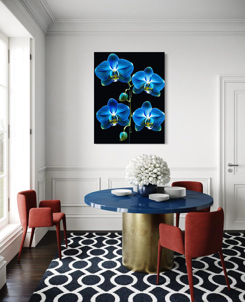 Pictura pe Numere – Enigma in azur 6725