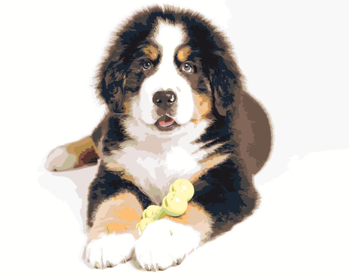 00f14c04d86832672dd572a55830315a