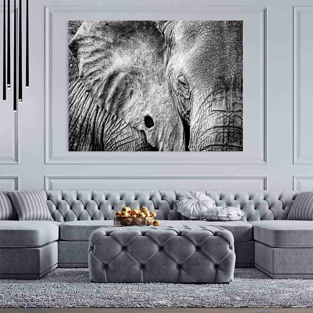 Tablou Canvas - Elefant alb-negru