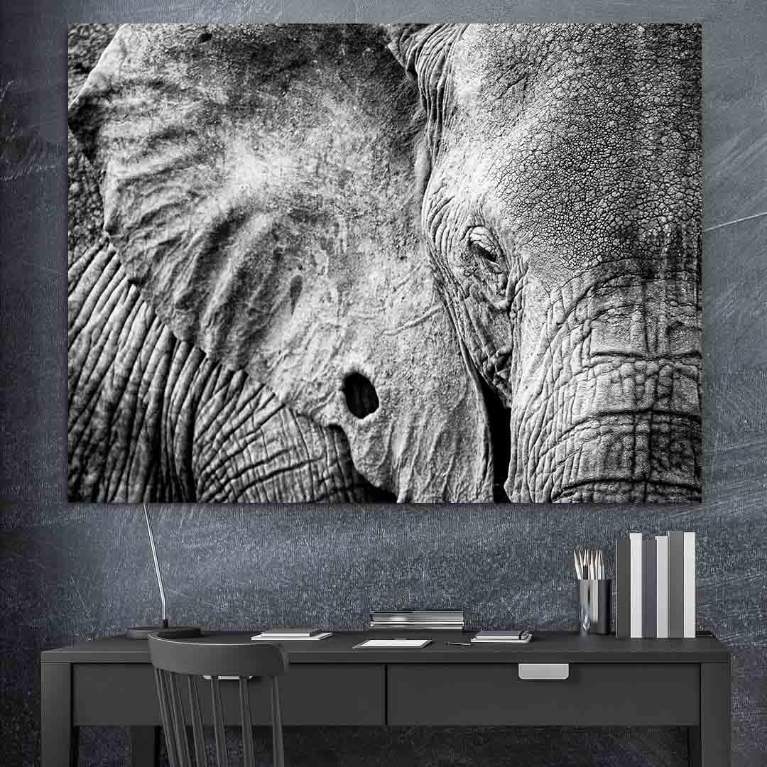 Peinture sur toile - Éléphant noir et blanc