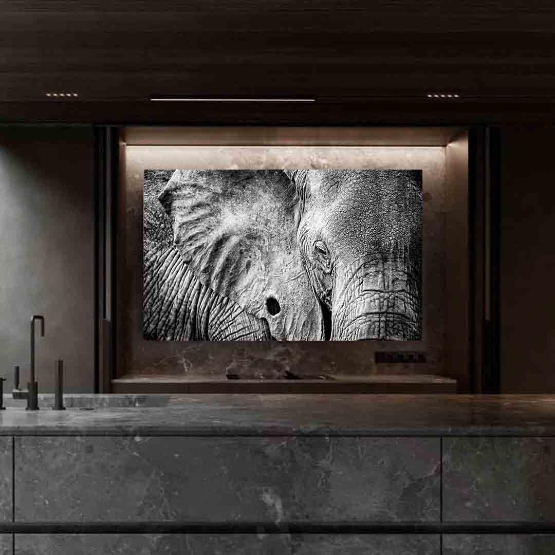Peinture sur toile - Éléphant noir et blanc