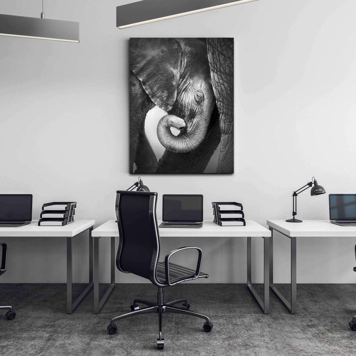 Tableau sur toile - Petit éléphant noir et blanc