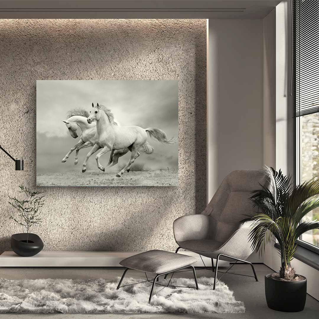 Tablou Canvas - Caii albi