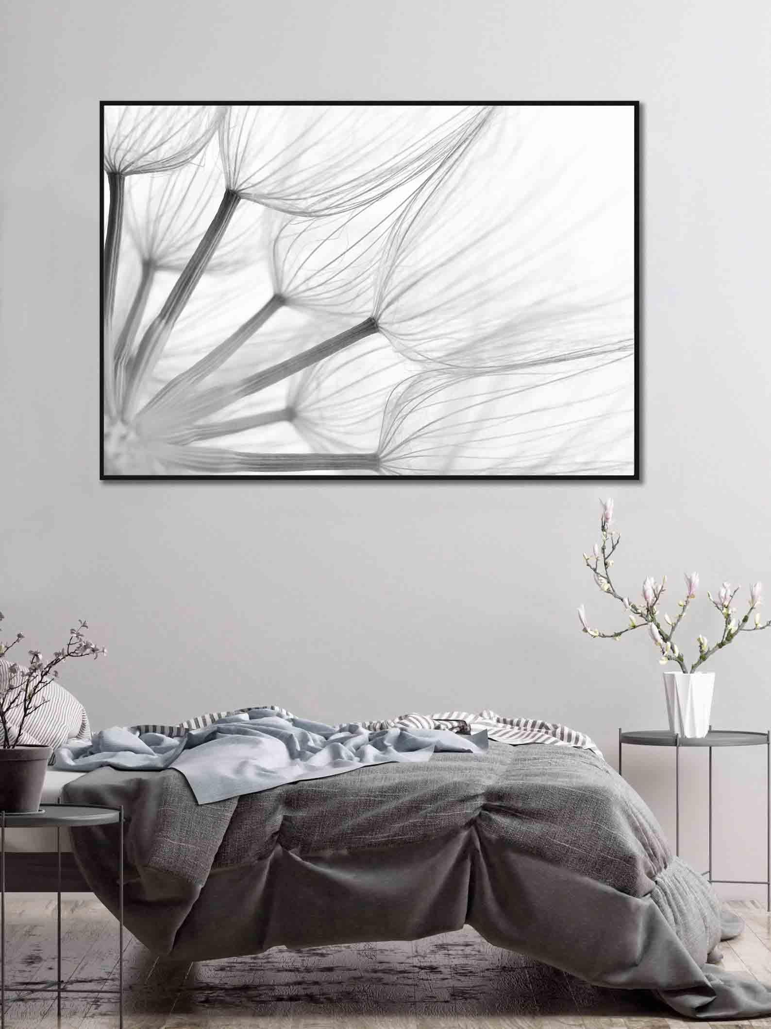 Peinture sur toile – Pissenlit noir et blanc