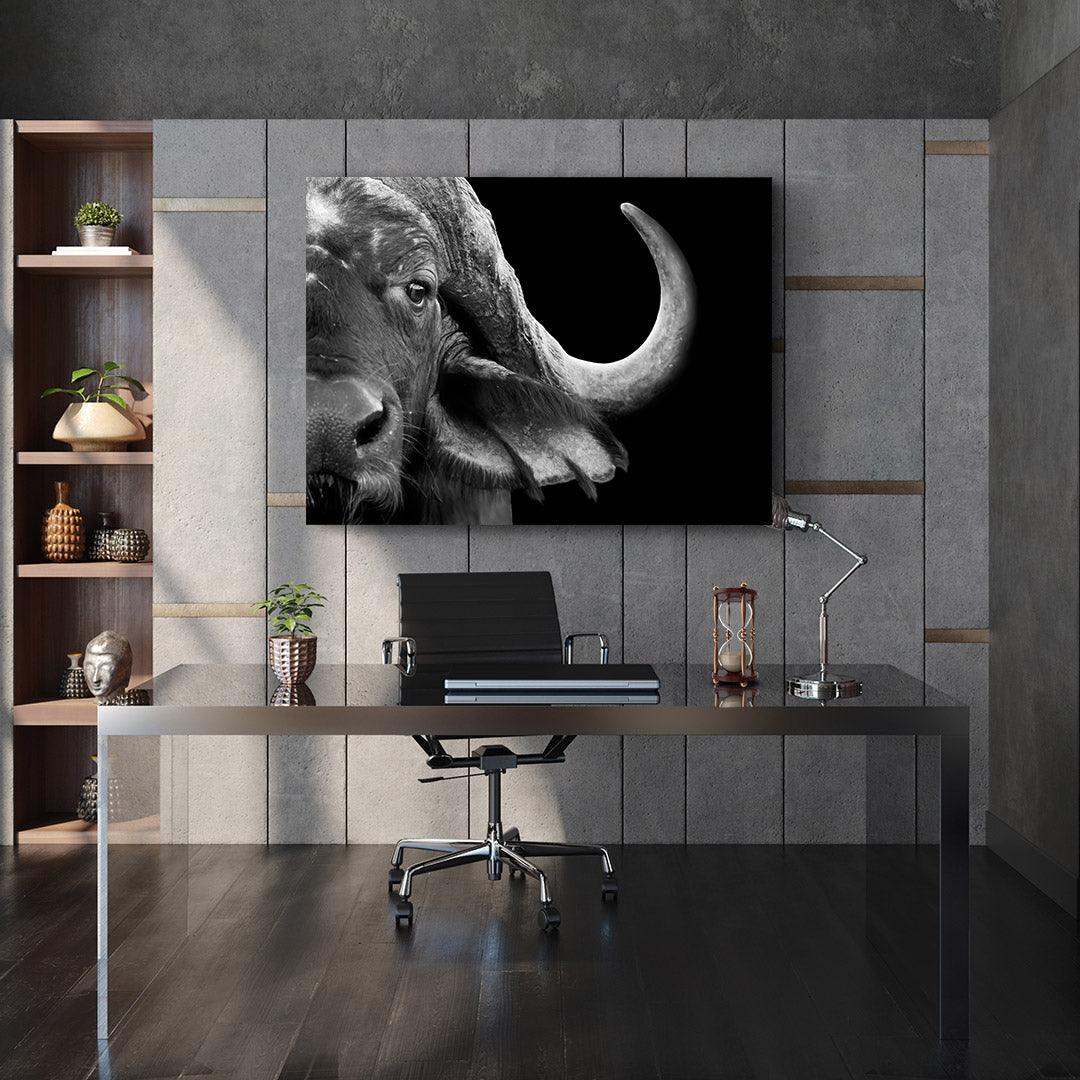 Tablou Canvas - Bivol alb-negru