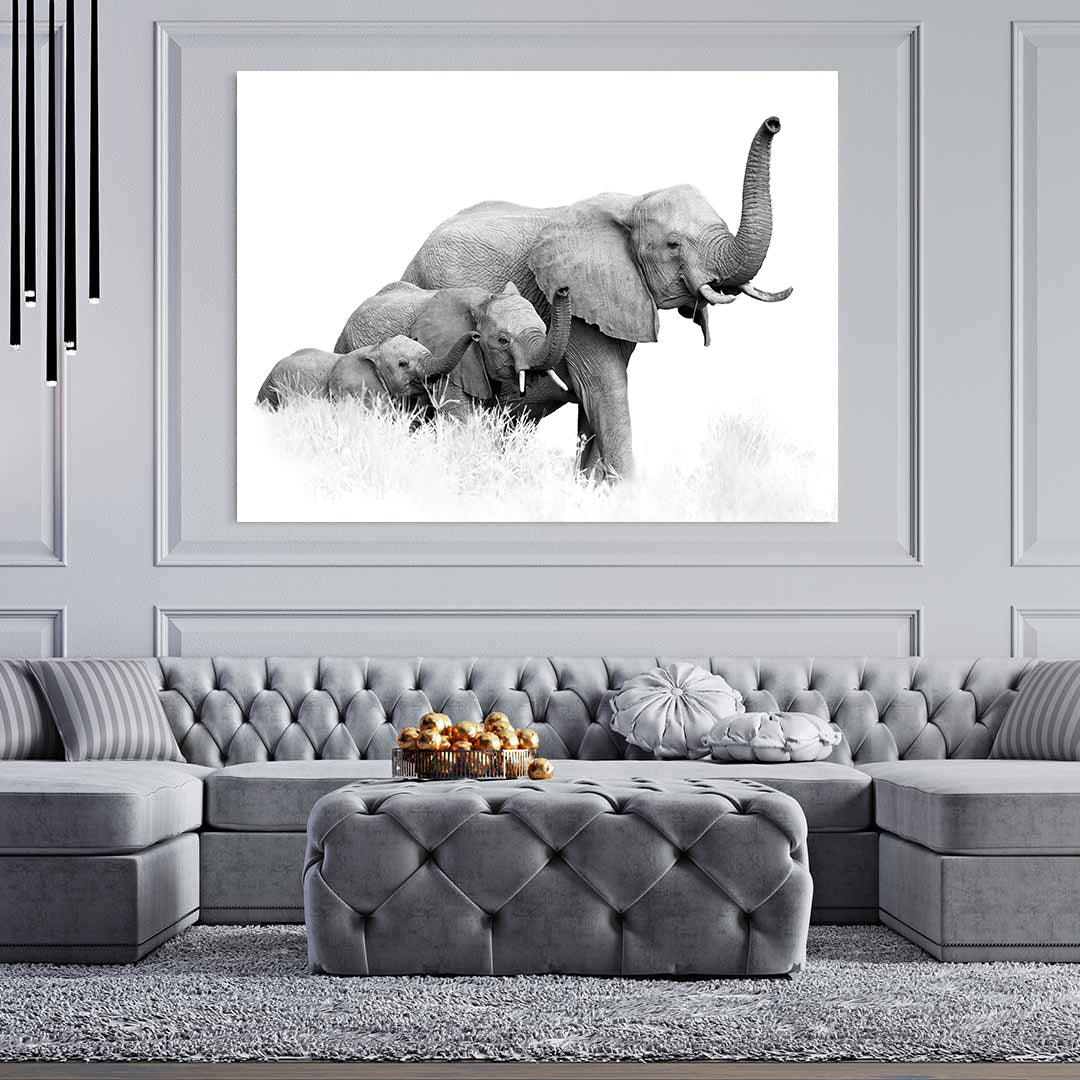 Tablou Canvas - Trei elefanti