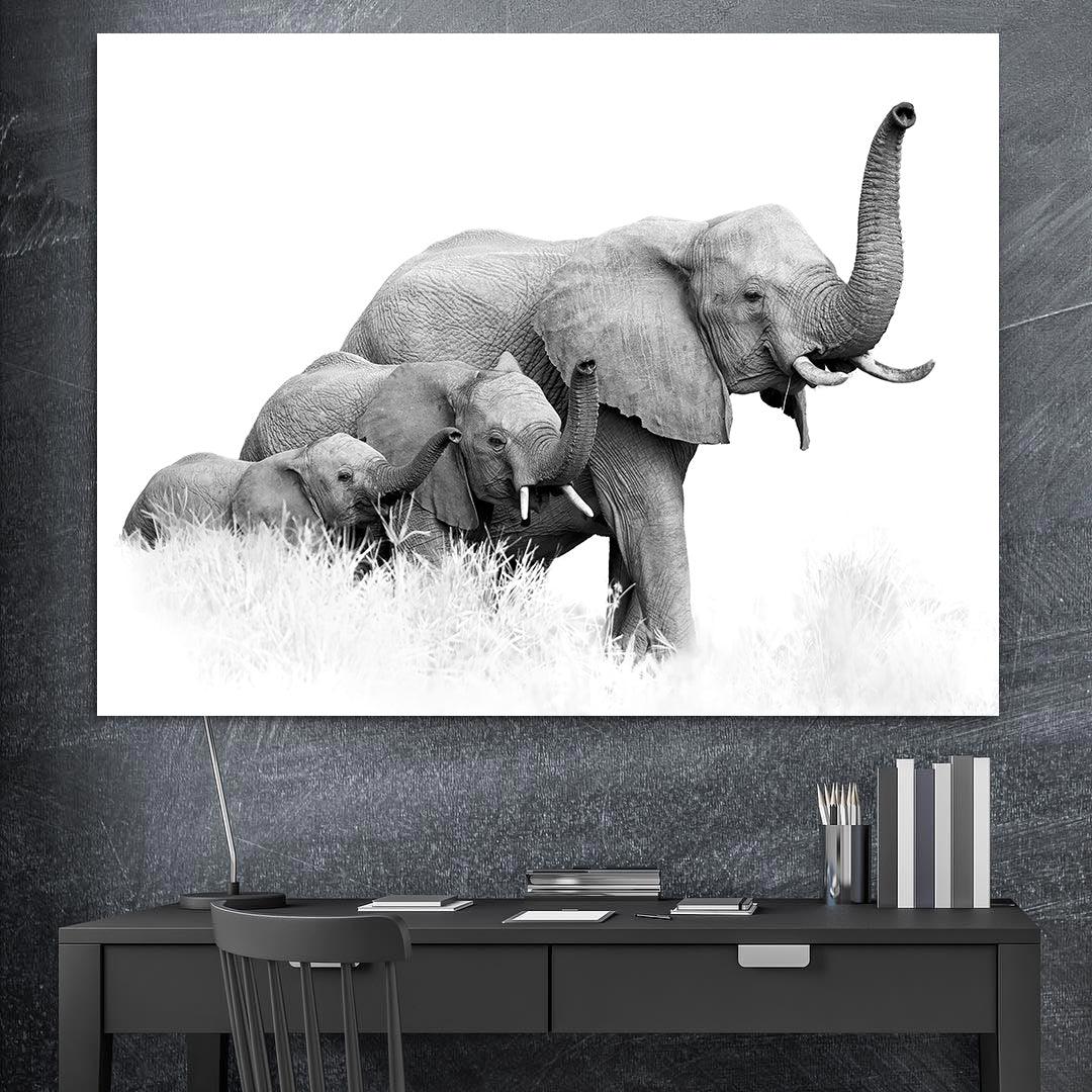 Tablou Canvas - Trei elefanti