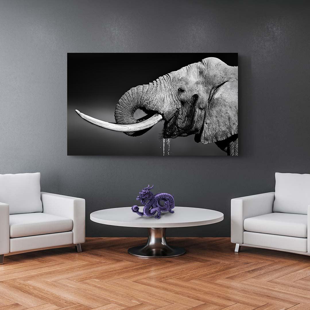 Tablou Canvas - Portret elefant
