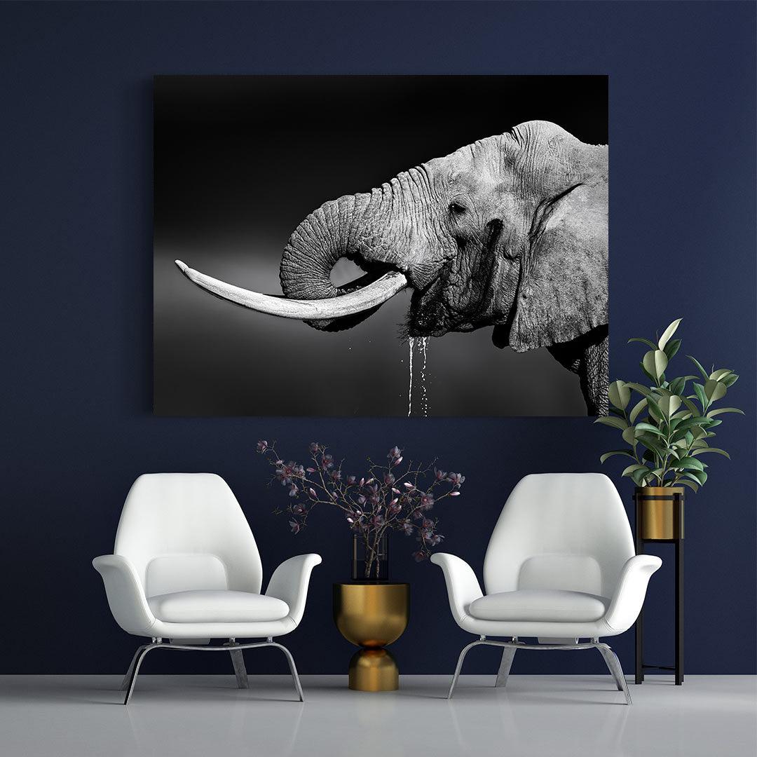 Tablou Canvas - Portret elefant