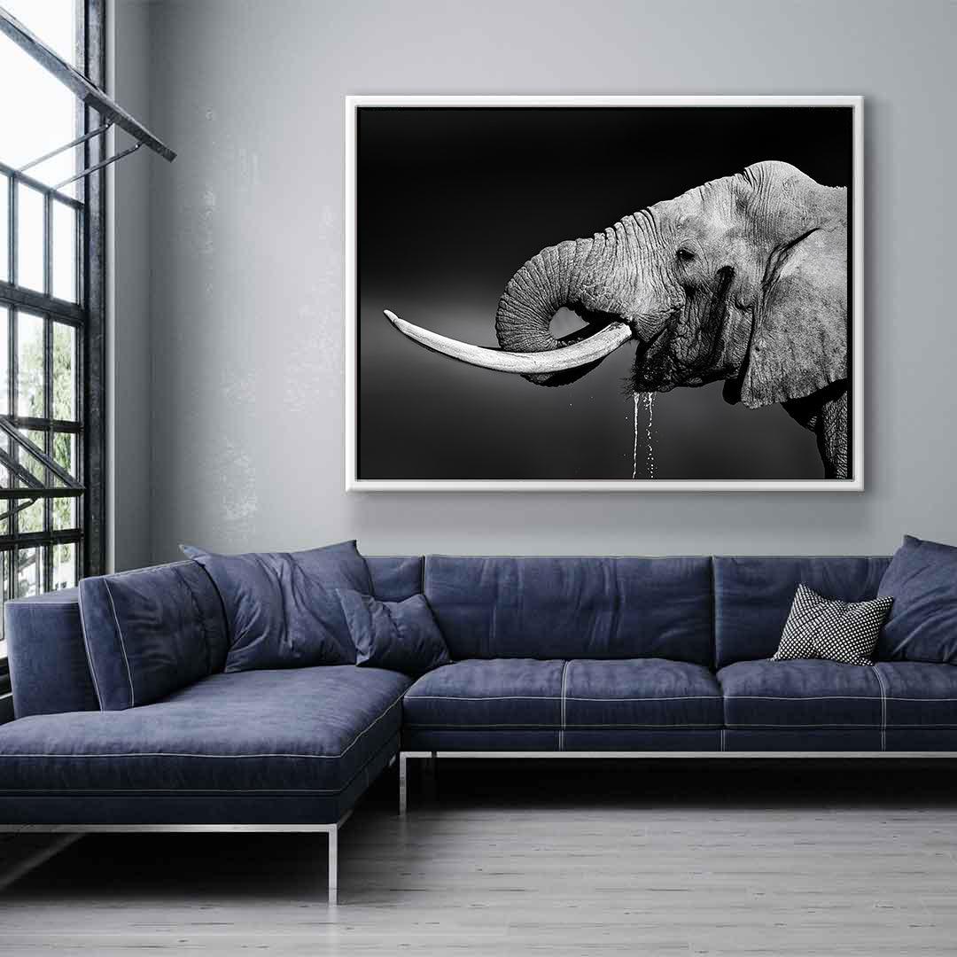 Tablou Canvas - Portret elefant