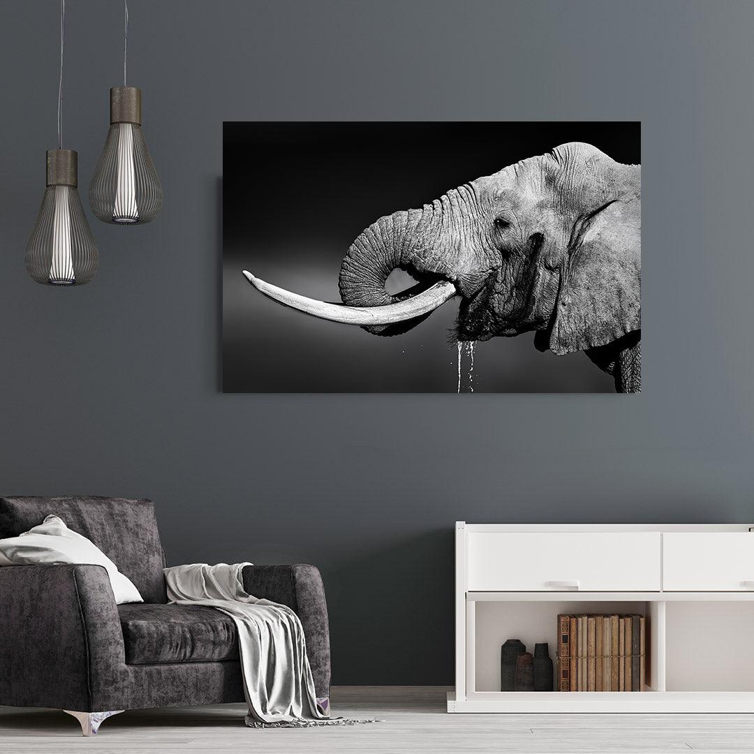 Tablou Canvas - Portret elefant