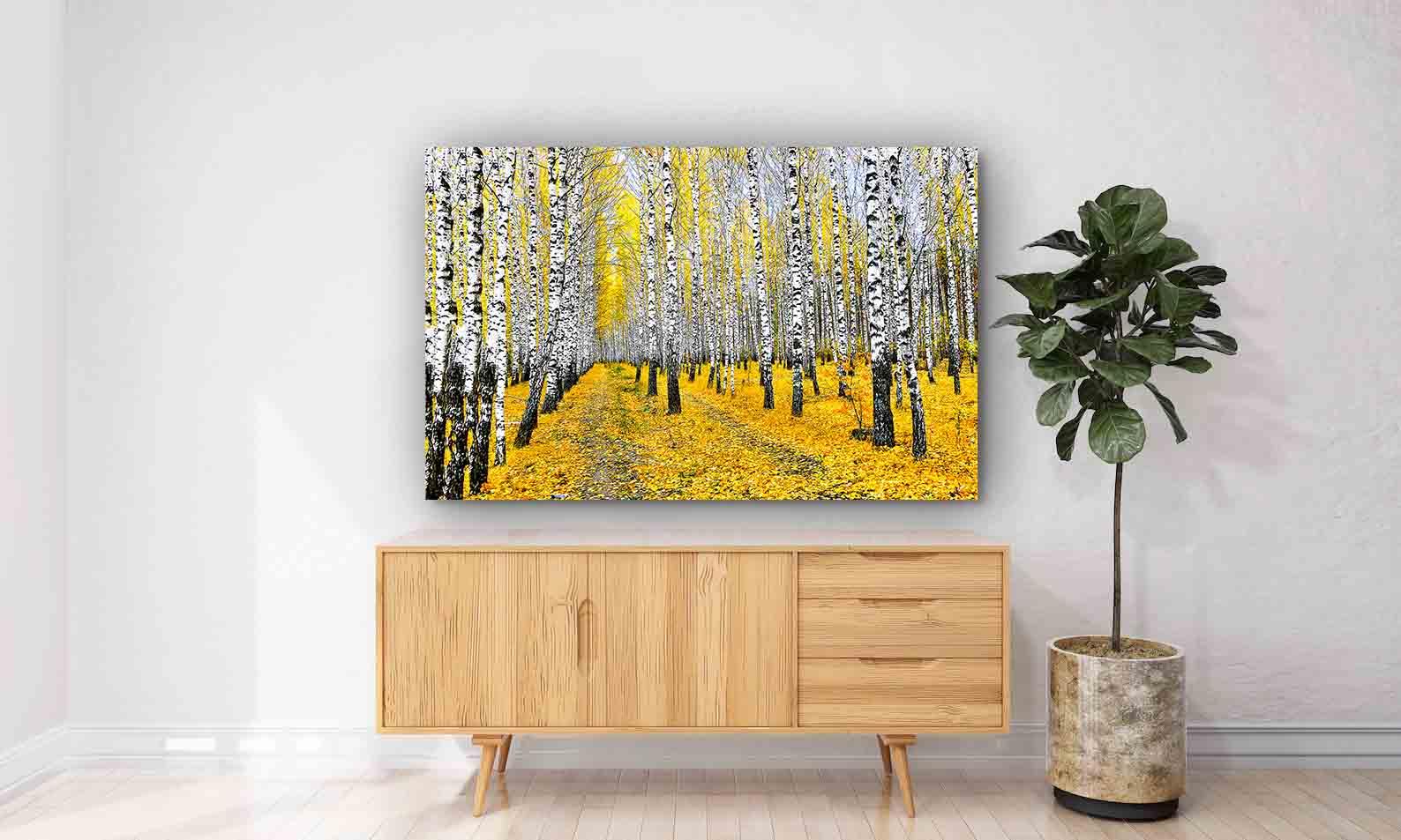 Tablou Canvas - Padure de mesteceni toamna