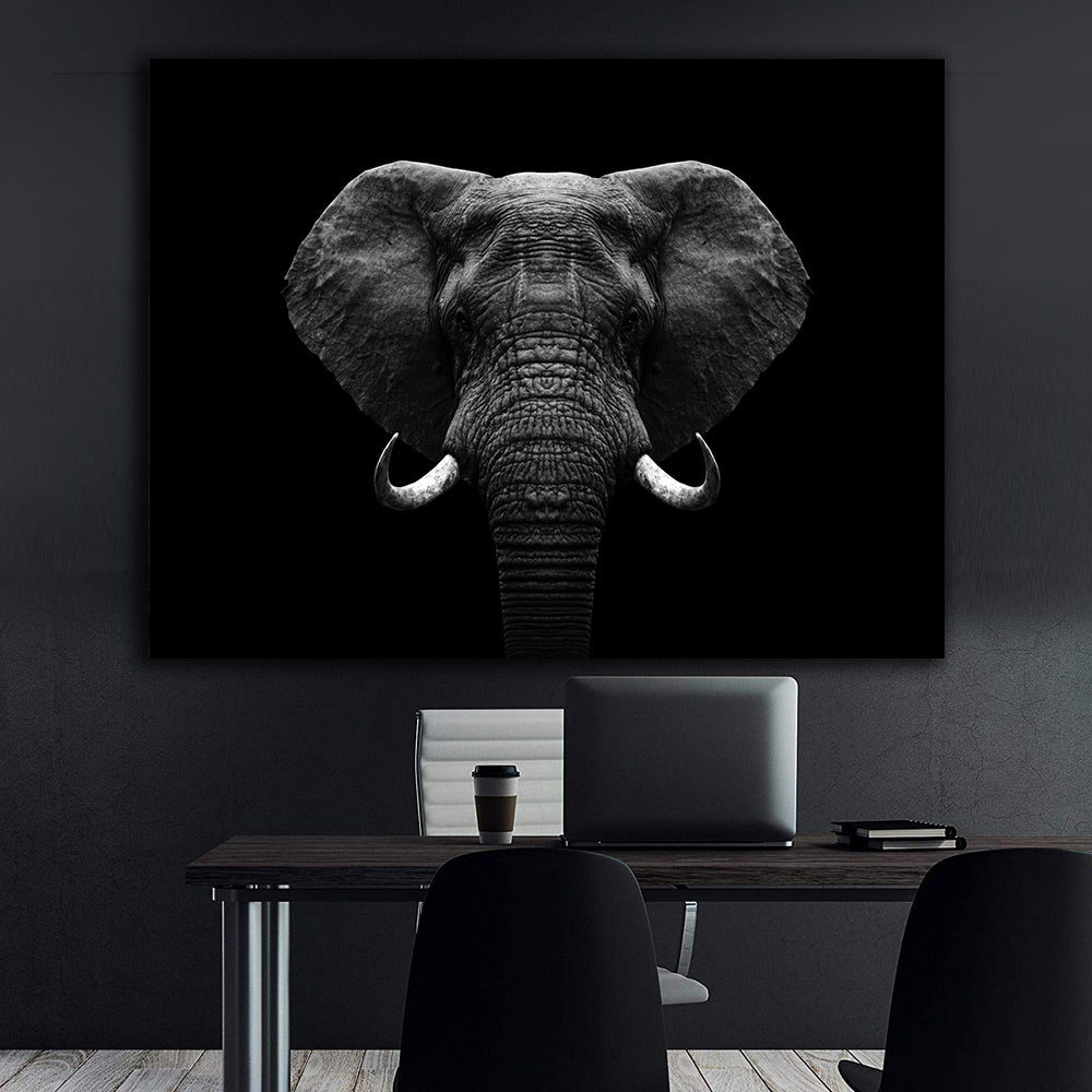 Tablou Canvas - Elefant Alb Negru