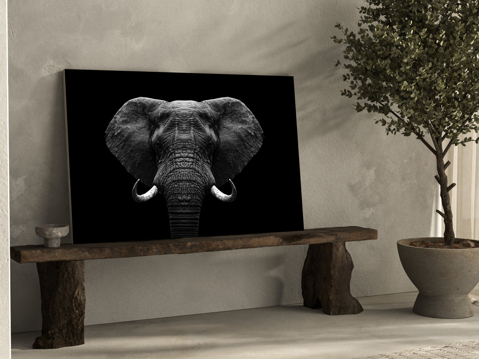 Tablou Canvas - Elefant Alb Negru