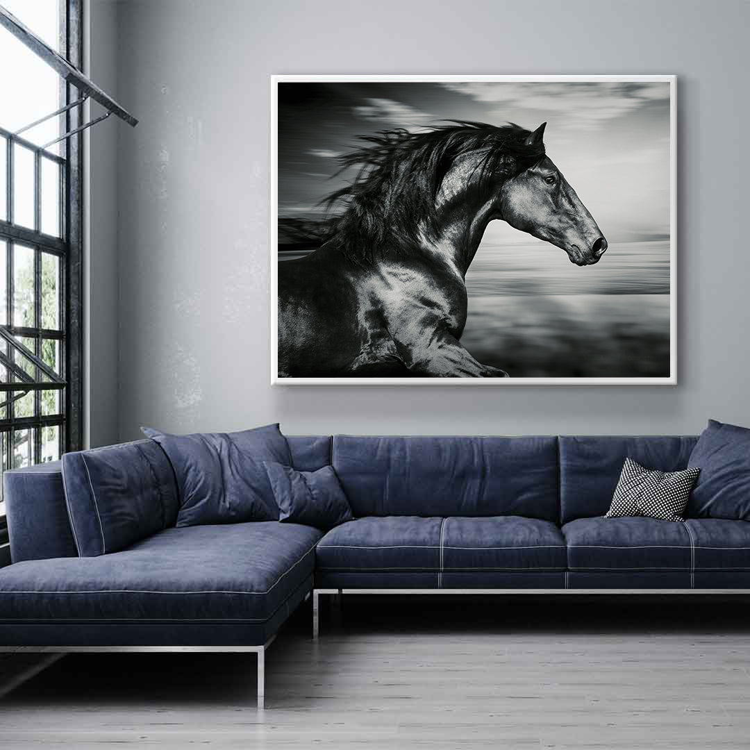 Tablou Canvas - Cal Sportiv Negru