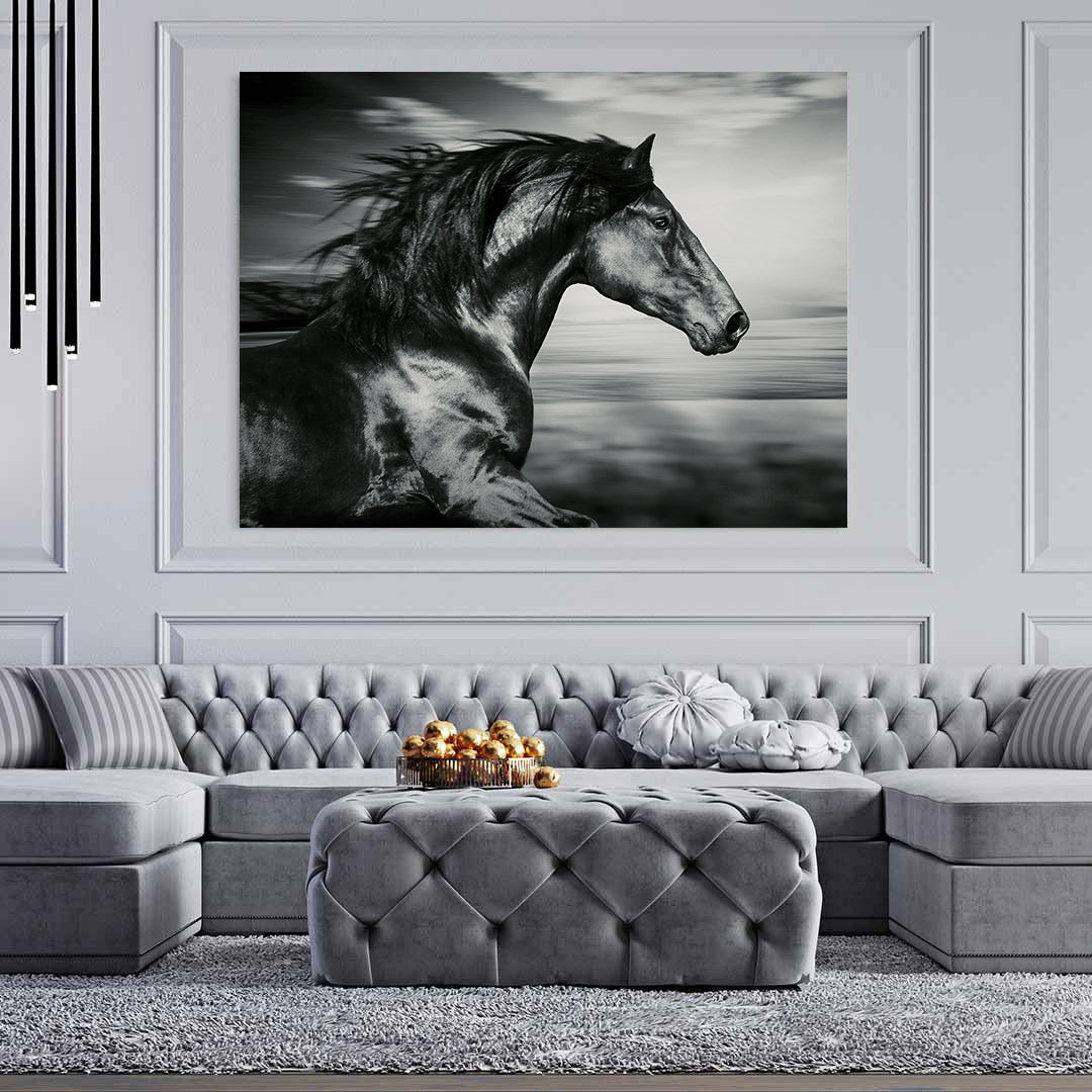 Tablou Canvas - Cal Sportiv Negru