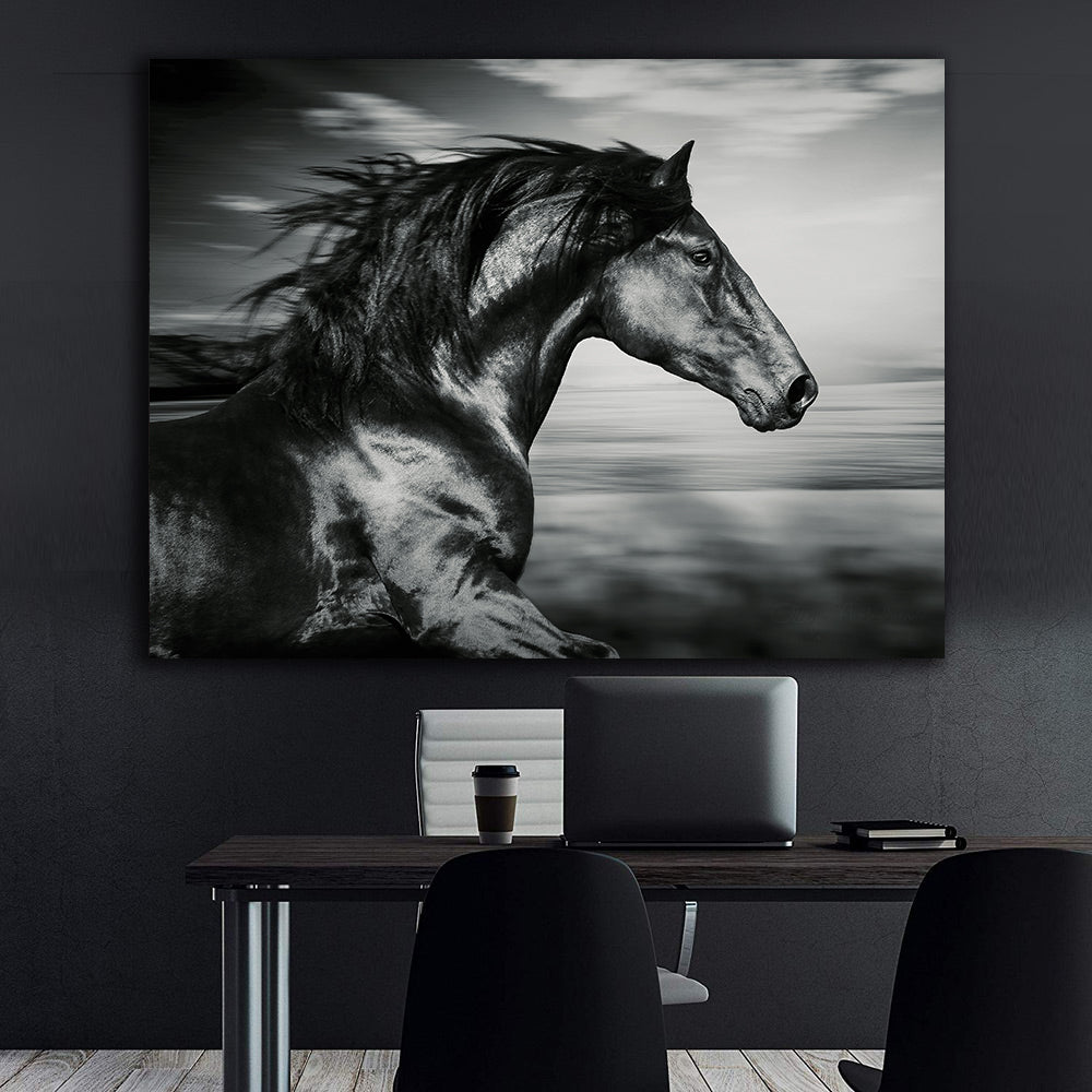 Tablou Canvas - Cal Sportiv Negru