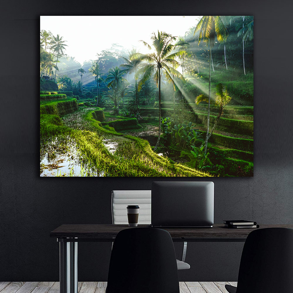 Tablou Canvas - Peisaj cu Palmieri