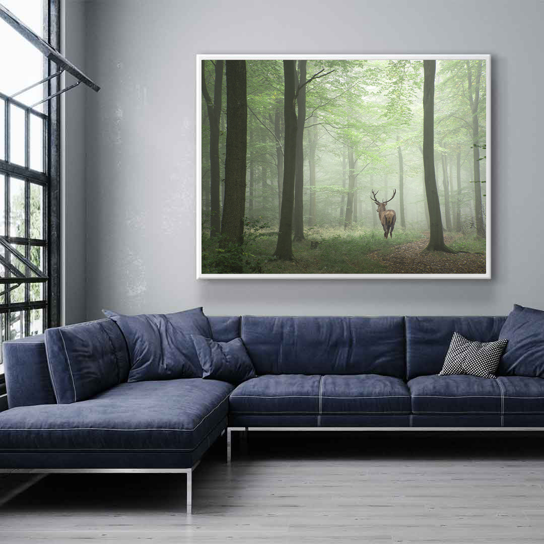 Tablou Canvas - Cerb în Pădure
