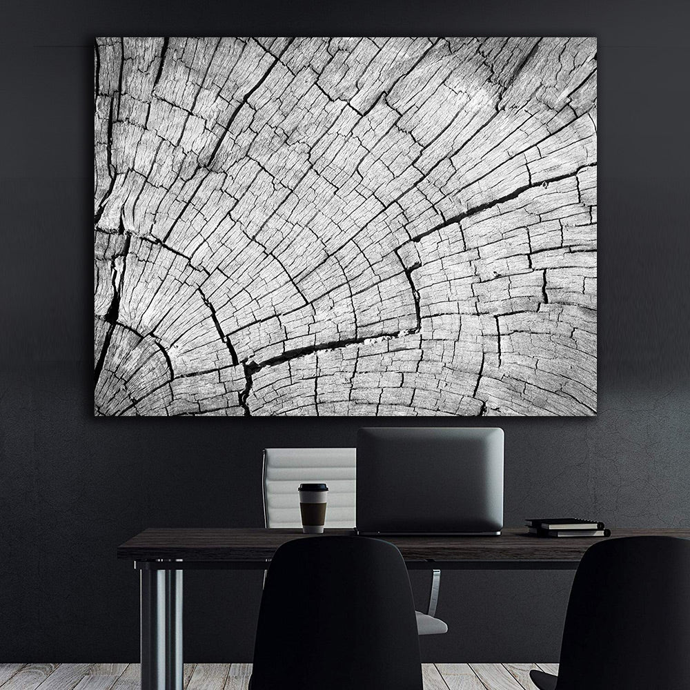 Tablou Canvas - copac Alb Negru