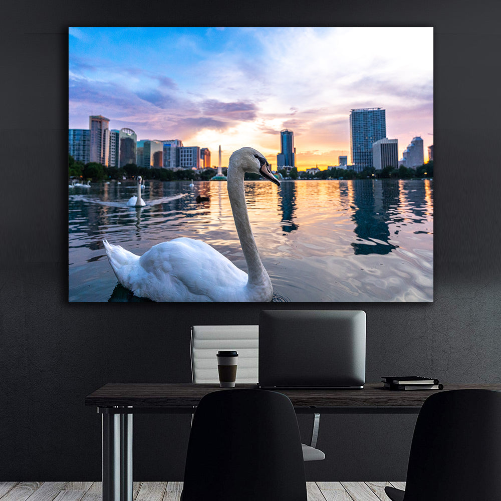 Tablou Canvas - Lebede pe Apă