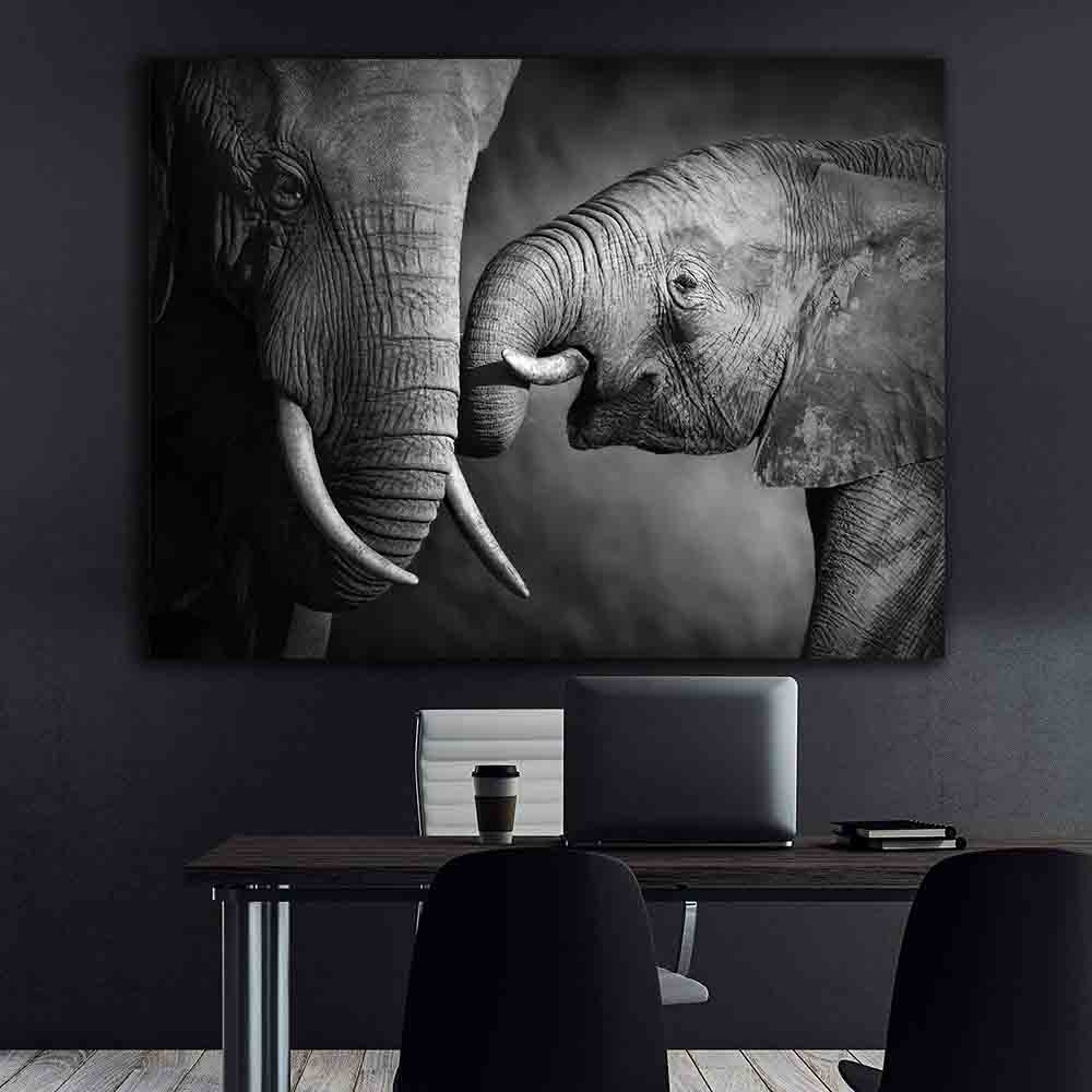 Tablou Canvas - Elefanti alb-negru