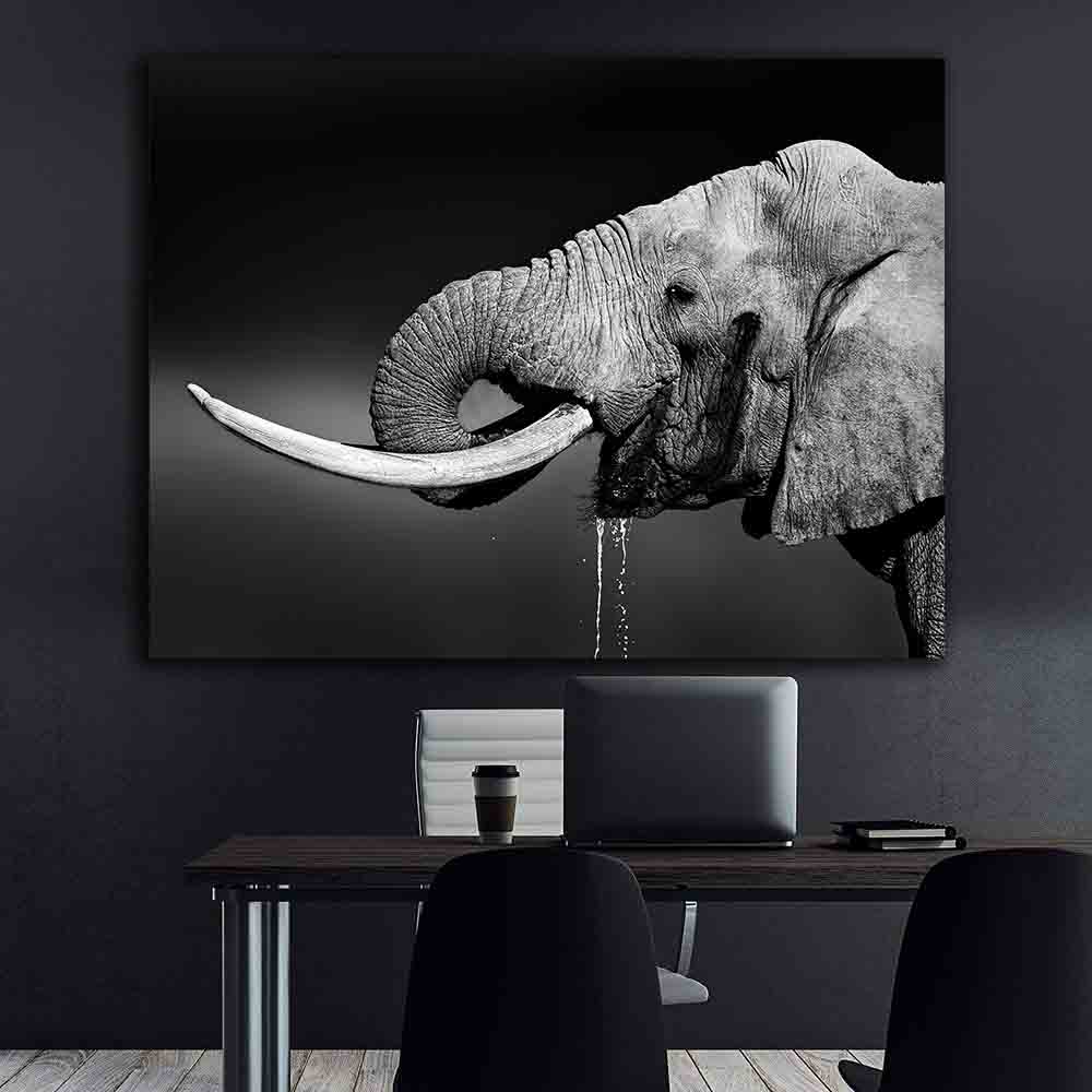Tablou Canvas - Portret elefant