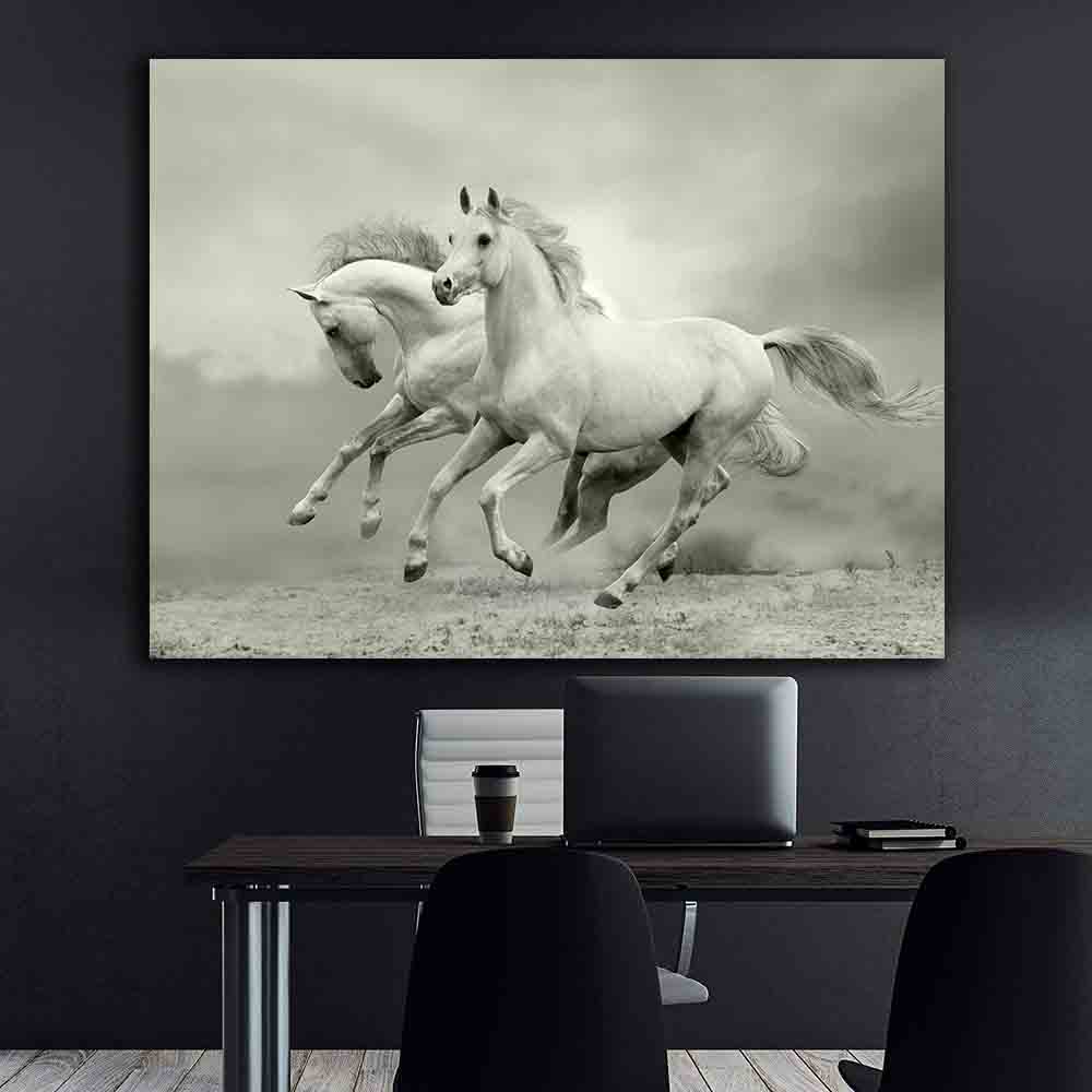 Tablou Canvas - Caii albi