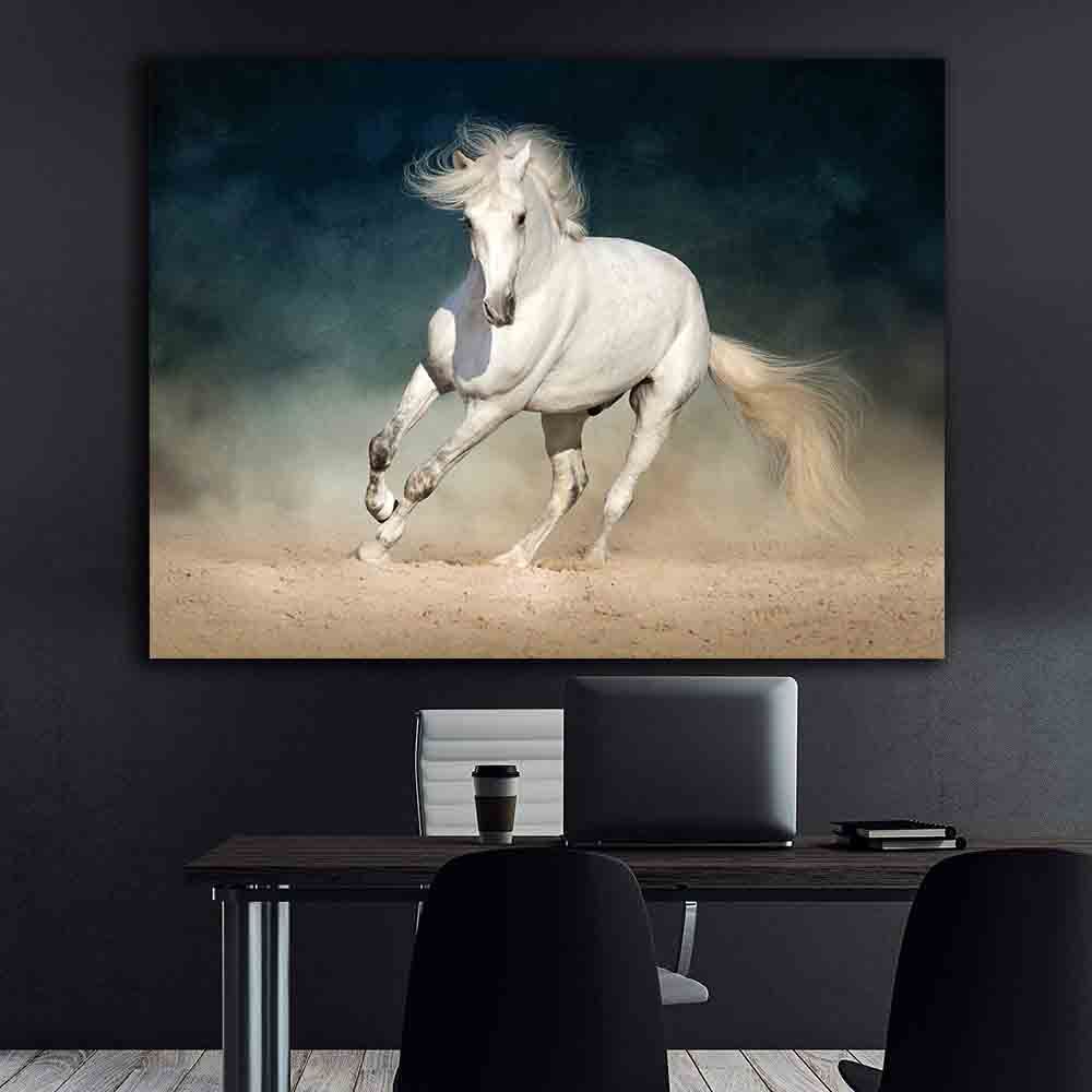 Tablou Canvas - Cal alb alergand