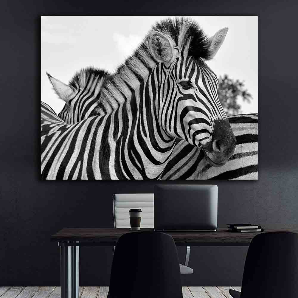 Tablou Canvas - Portret zebra alb-negru